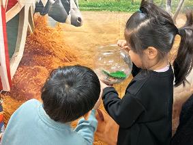 화성시 갈담초등학교병설유치원, 햄스터부터 당나귀까지…  ‘오감 만족 생태 교실’호응